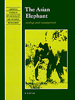 Asian Elephant