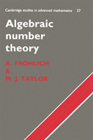 Algebraic Number Theory