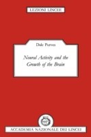 Neural Activity and the Growth of the Brain