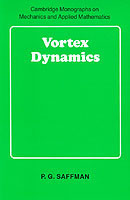 Vortex Dynamics