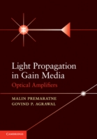 Light Propagation in Gain Media