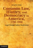 Common Law, History, and Democracy in America, 1790–1900