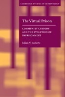 Virtual Prison