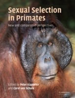 Sexual Selection in Primates