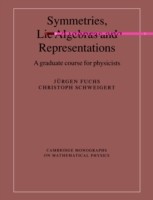 Symmetries, Lie Algebras and Representations