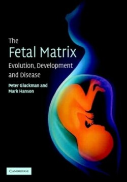 Fetal Matrix: Evolution, Development and Disease