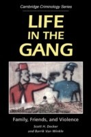 Life in the Gang