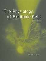 Physiology of Excitable Cells