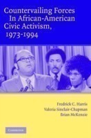 Countervailing Forces in African-American Civic Activism, 1973–1994