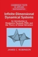 Infinite-Dimensional Dynamical Systems