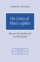 Unity of Plato's Sophist