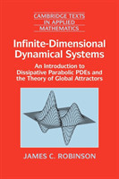 Infinite-Dimensional Dynamical Systems