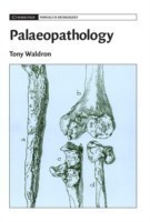 Palaeopathology