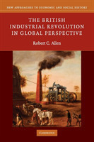 British Industrial Revolution in Global Perspective