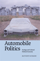 Automobile Politics