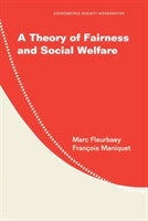 Theory of Fairness and Social Welfare