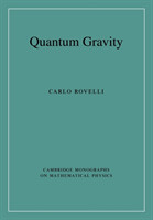 Quantum Gravity