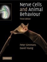 Nerve Cells and Animal Behaviour