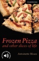 Frozen Pizza and Other Slices of Life Level 6