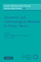 Geometric and Cohomological Methods in Group Theory