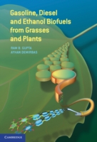 Gasoline, Diesel and Ethanol Biofuels From Grasses and Plants