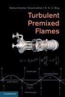 Turbulent Premixed Flames