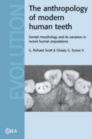 Anthropology of Modern Human Teeth