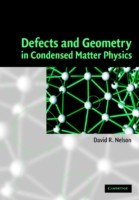 Defects and Geometry in Condensed Matter Physics