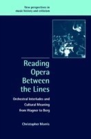 Reading Opera between the Lines