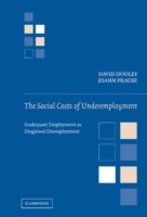 Social Costs of Underemployment