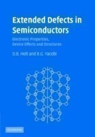 Extended Defects in Semiconductors