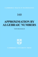 Approximation by Algebraic Numbers