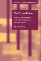 Virtual Prison