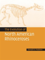 Evolution of North American Rhinoceroses