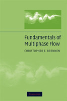 Fundamentals of Multiphase Flow