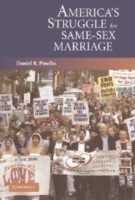 America's Struggle for Same-Sex Marriage