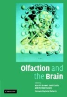 Olfaction and Brain