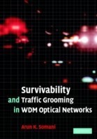 Survivability and Traffic Grooming in WDM Optical Networks