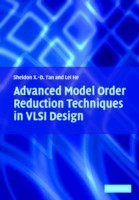 Advanced Model Order Reduction Techniques in VLSI Design