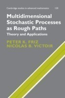 Multidimensional Stochastic Processes as Rough Paths