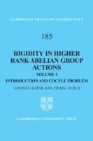 Rigidity in Higher Rank ABelian Group Actions V1