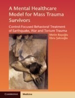 Mental Healthcare Model for Mass Trauma Survivors