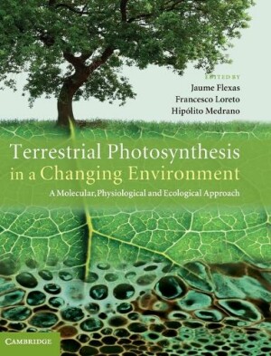 Terrestrial Photosynthesis in Changing Environment