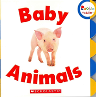 Baby Animals (Rookie Toddler)