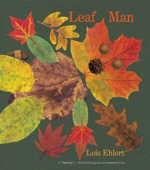 Leaf Man: Big Book