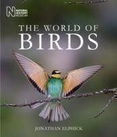 World of Birds