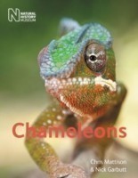 Chameleons