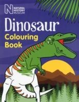 Dinosaur Colouring Book