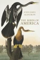 Birds of America