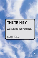Trinity: A Guide for the Perplexed